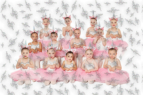 2024 Niche Dance Studios 22 Nov ref 24112